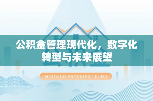 龙岩公积金管理现代化，数字化转型与未来展望