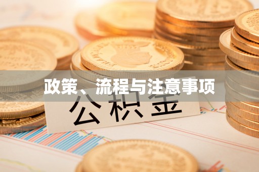 龙岩政策、流程与注意事项
