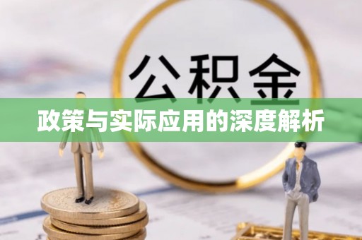 龙岩政策与实际应用的深度解析