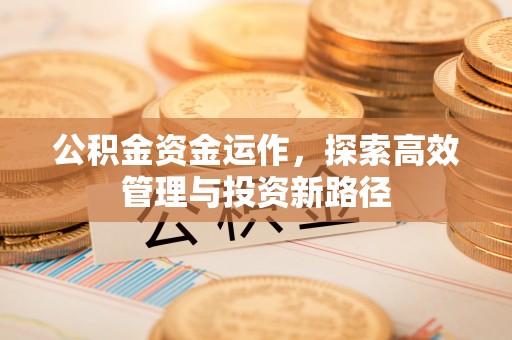 龙岩公积金资金运作，探索高效管理与投资新路径