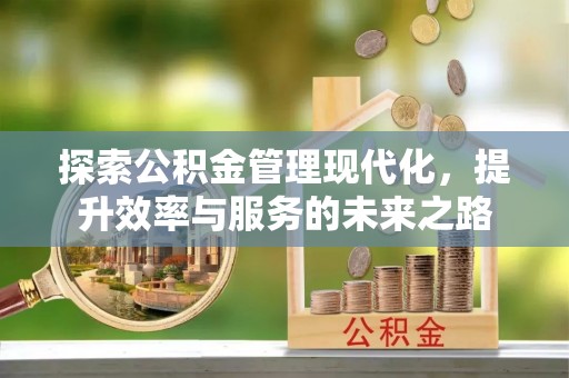 龙岩探索公积金管理现代化，提升效率与服务的未来之路