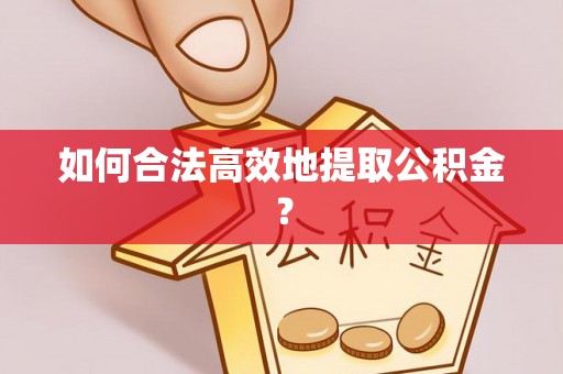 龙岩如何合法高效地提取公积金？