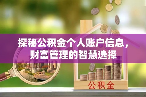 龙岩探秘公积金个人账户信息，财富管理的智慧选择