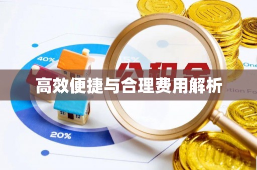 龙岩高效便捷与合理费用解析