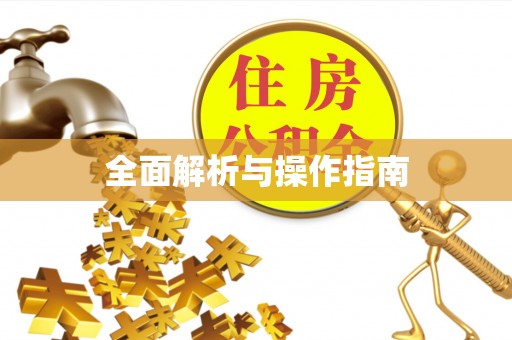 龙岩全面解析与操作指南
