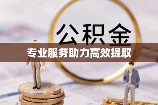 龙岩专业服务助力高效提取