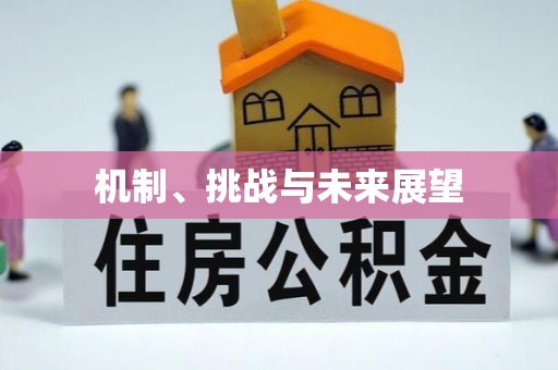 龙岩机制、挑战与未来展望
