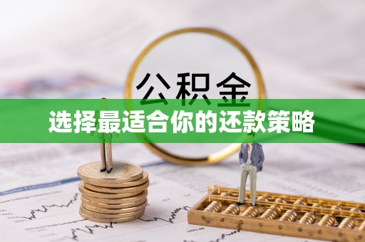 龙岩选择最适合你的还款策略
