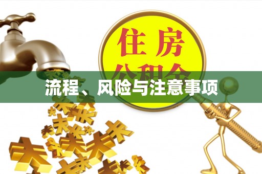 龙岩流程、风险与注意事项