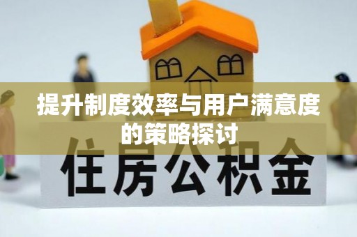 龙岩提升制度效率与用户满意度的策略探讨